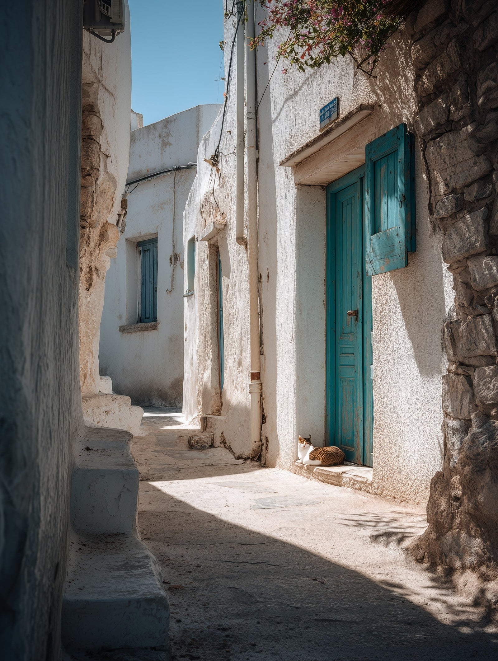 Olive grove on Samos, Greece — the Markou estate