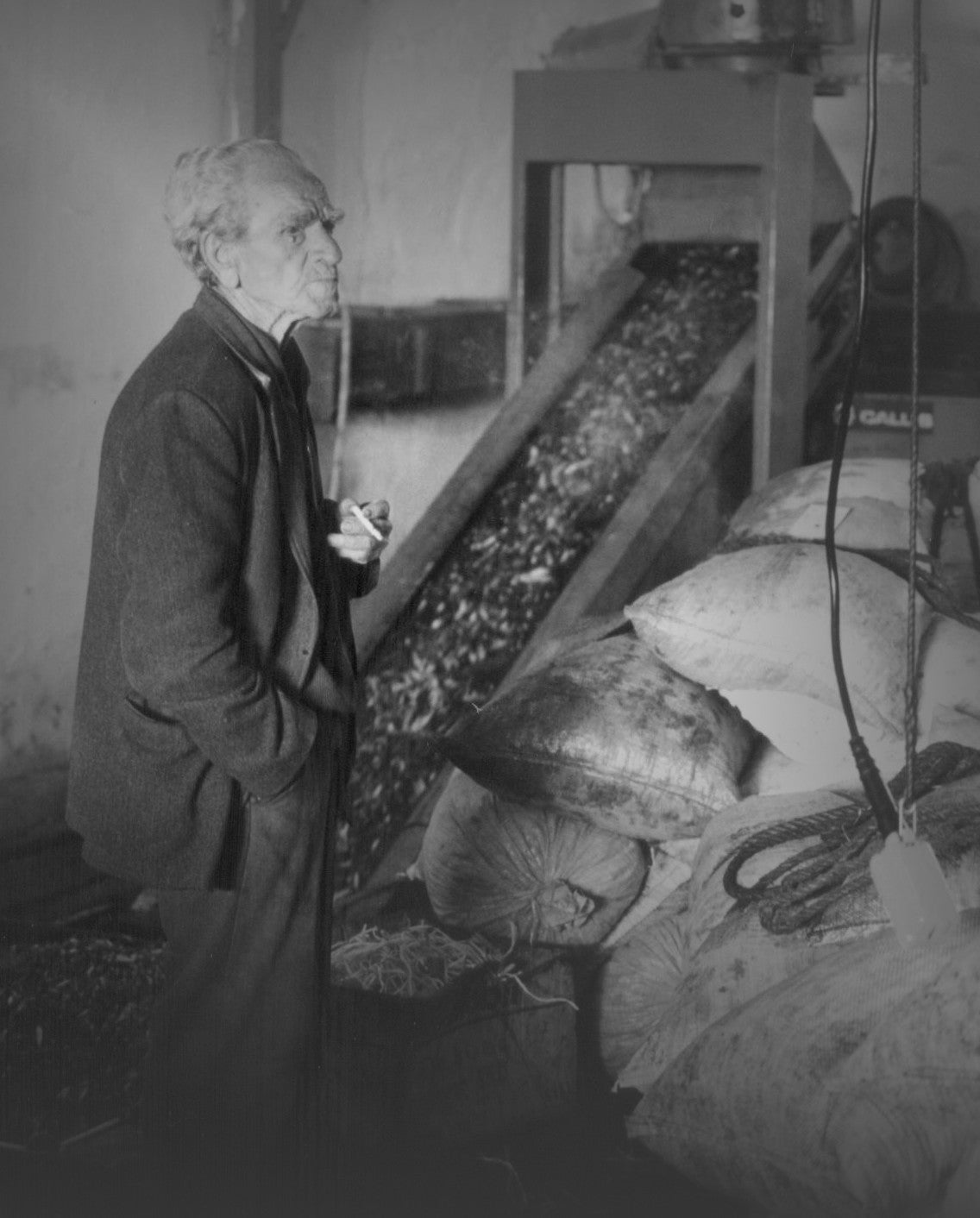 At the olive mill, Samos